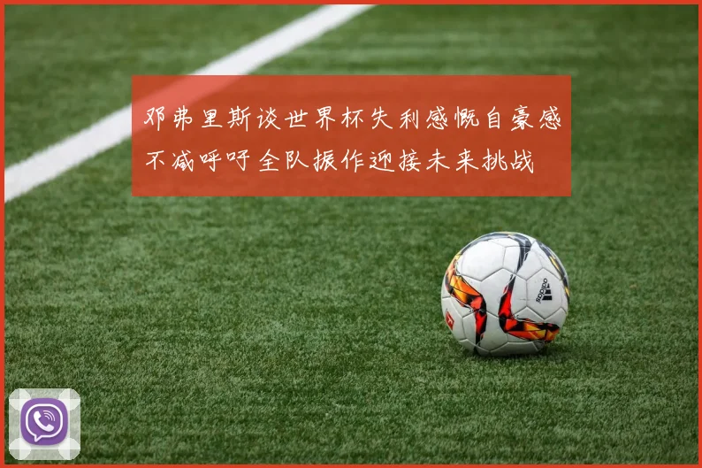 邓弗里斯谈世界杯失利感慨自豪感不减呼吁全队振作迎接未来挑战