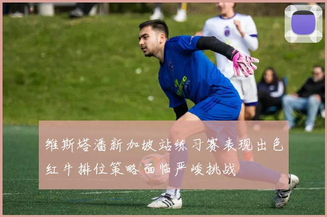 维斯塔潘新加坡站练习赛表现出色红牛排位策略面临严峻挑战